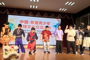 第十八屆廣西青少年機(jī)器人競(jìng)賽暨東盟國家青少年機(jī)器人邀請(qǐng)賽圓滿閉幕，文化交流活動(dòng)精彩紛呈